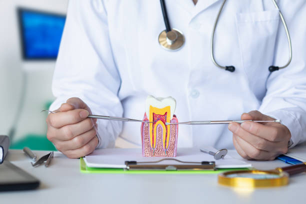 Best Broken or Chipped Tooth Repair in Neptune City, NJ